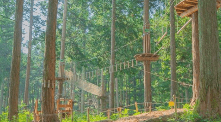 フォレストアドベンチャー・糸島