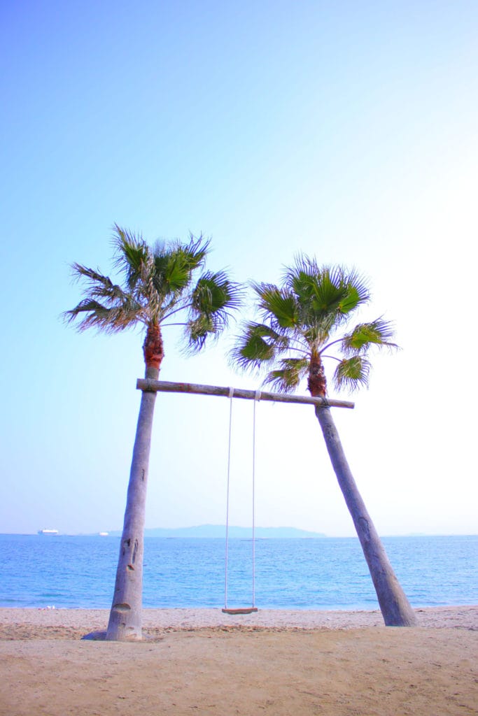 伊酒屋「ざうお」さんの海岸