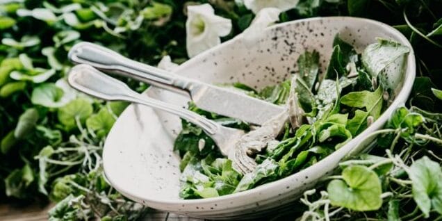 食べられる器に食べられる箸！ゴミを減らすことができると注目の食べられる食器を紹介