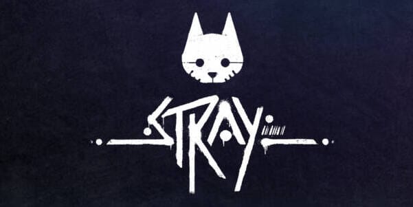 『stray』