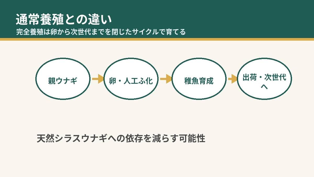 通常養殖と完全養殖ウナギの違いを示すサイクル図